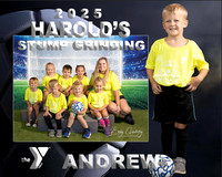 ANDREW BAIRD Memory Mate