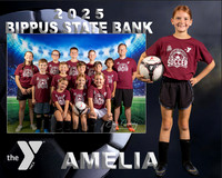 AMELIA DAVIS Memory Mate-Edit