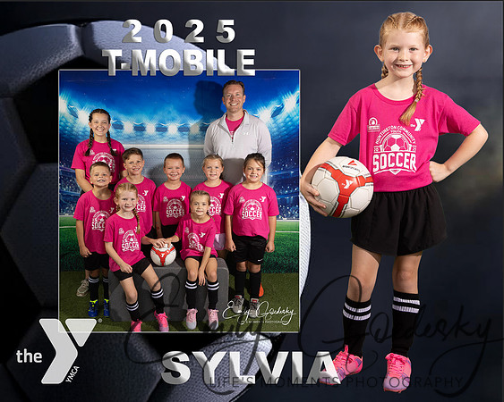 SYLVIA DAVIS Memory Mate-Edit