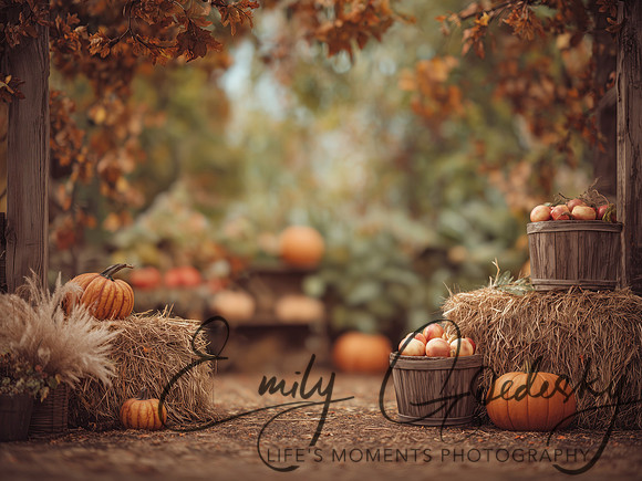 FallDigitalBackdrop-PumpkinPatch