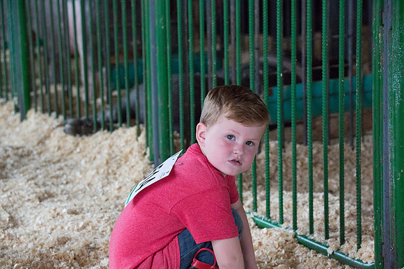 2018 4-H-0140
