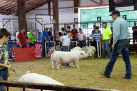 2018 4-H-0032