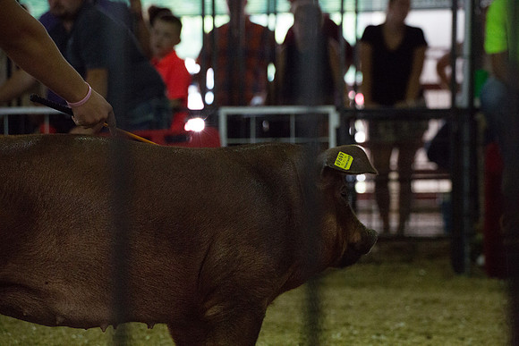 2018 4-H-0087