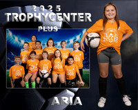Aria wohlgemuth Memory Mate