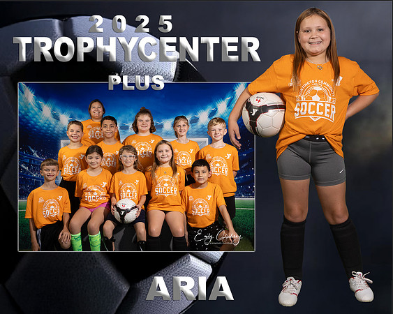 Aria wohlgemuth Memory Mate