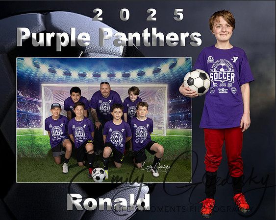 Ronald Memory Mate-2