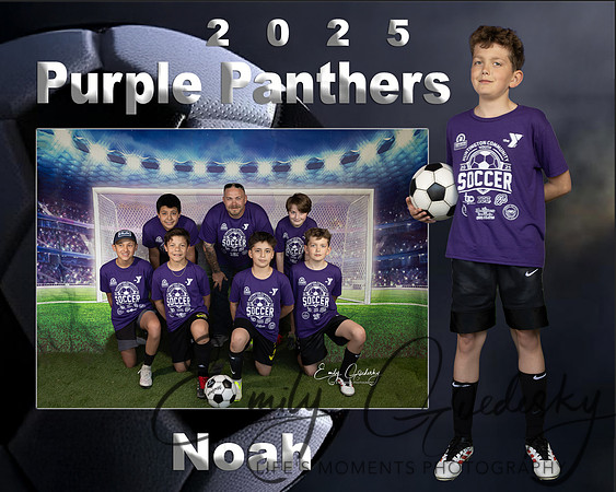 Noah Memory Mate