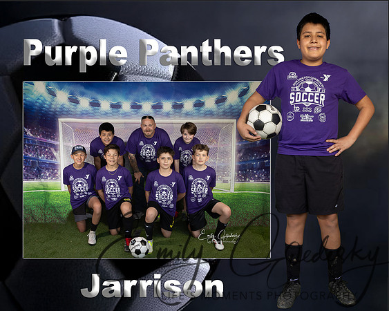 Jarrison Memory Mate-2
