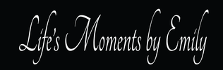 Life's Moments by Emily